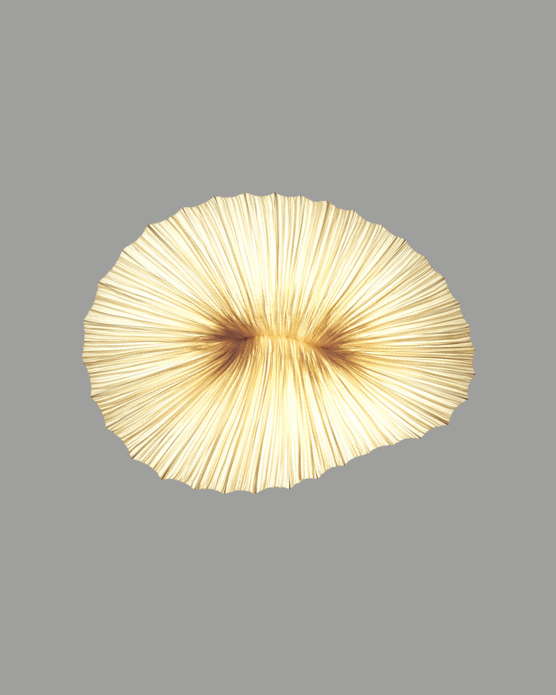Coral Wall & Ceiling Light