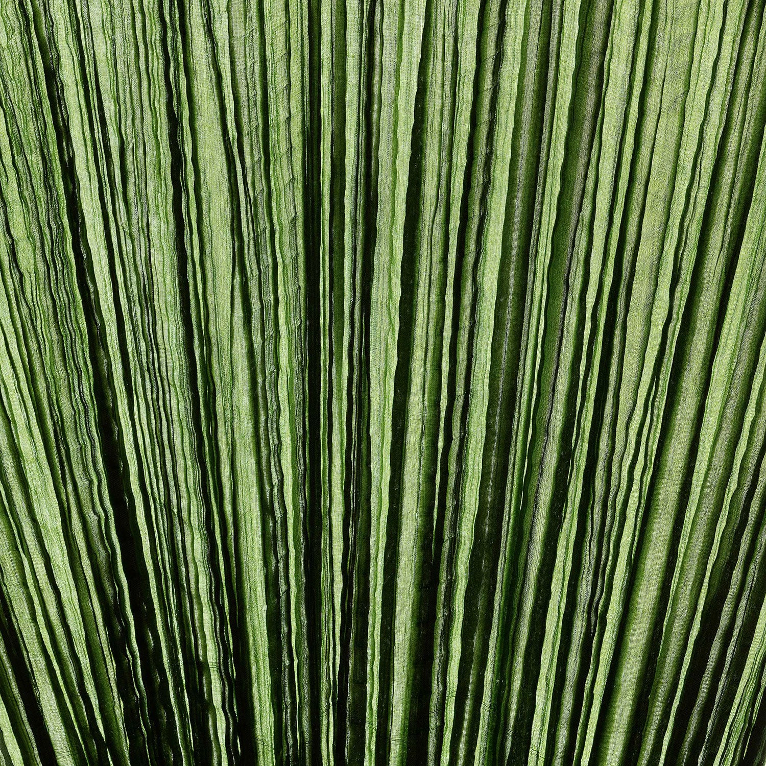 Grass Silk Color light switched on