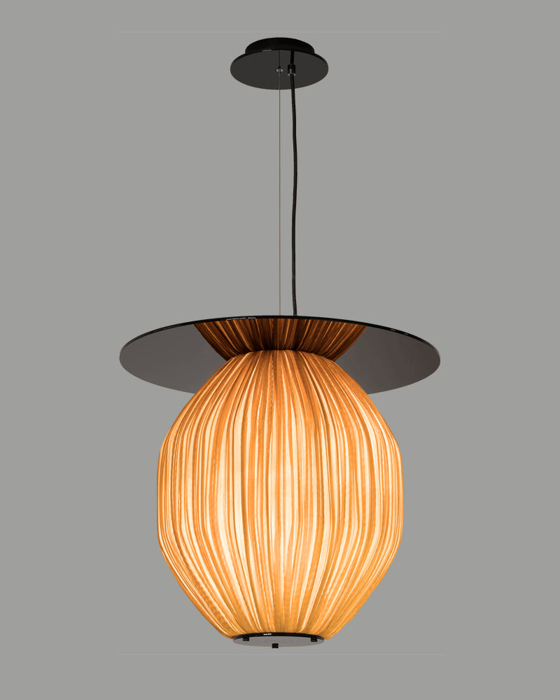 C4+ Pendant Light
