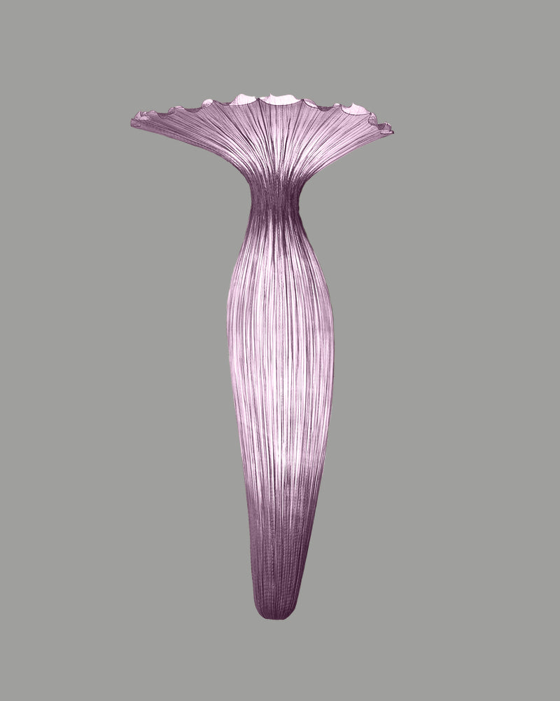 Evening Glory Wall Light