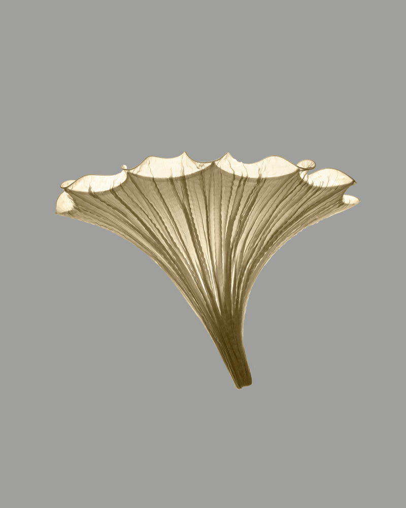 Fan Wall Light