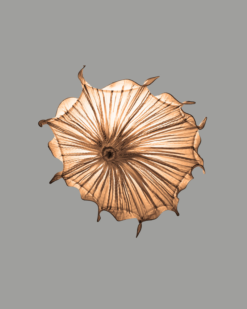 Medusa Wall Light