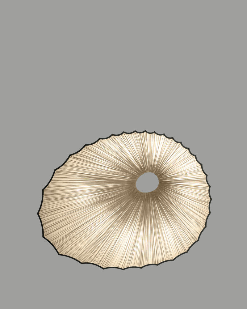 Sikus Wall & Ceiling Light