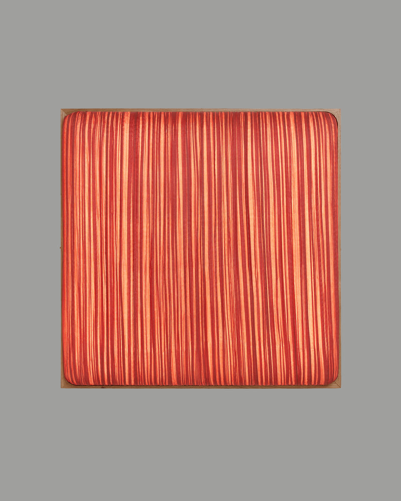Simon Says No Wall & Ceiling Light