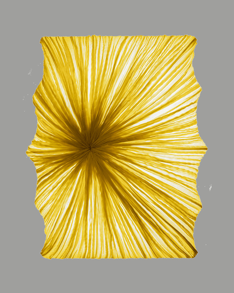 Zika Wall & Ceiling Light