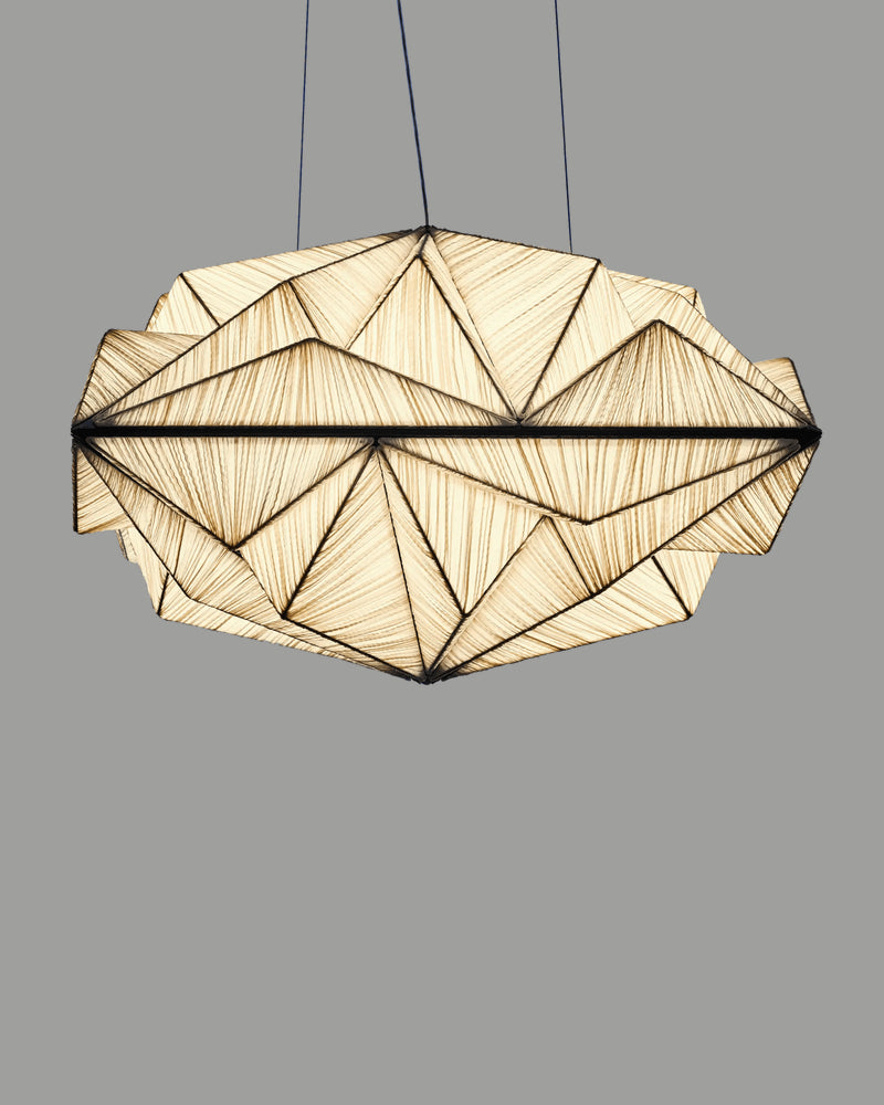 Zooid 1M Pendant Light