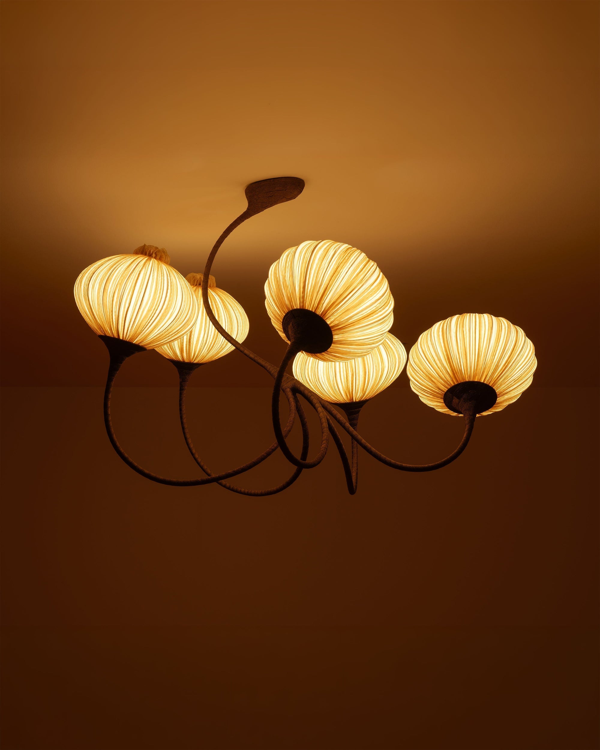 Gold Silk: Natural, Harmonious, Beaming.