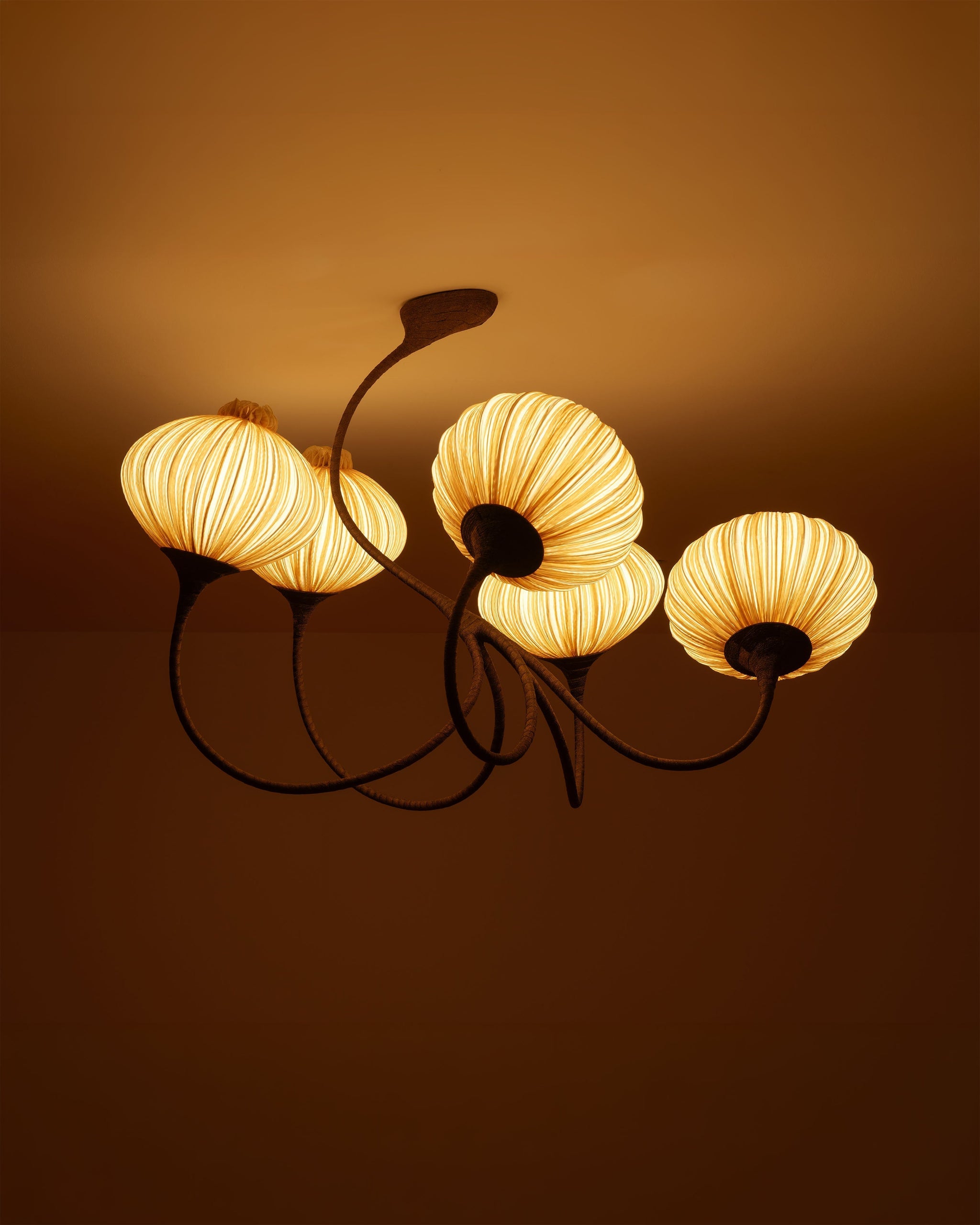 Gold Silk: Natural, Harmonious, Beaming.