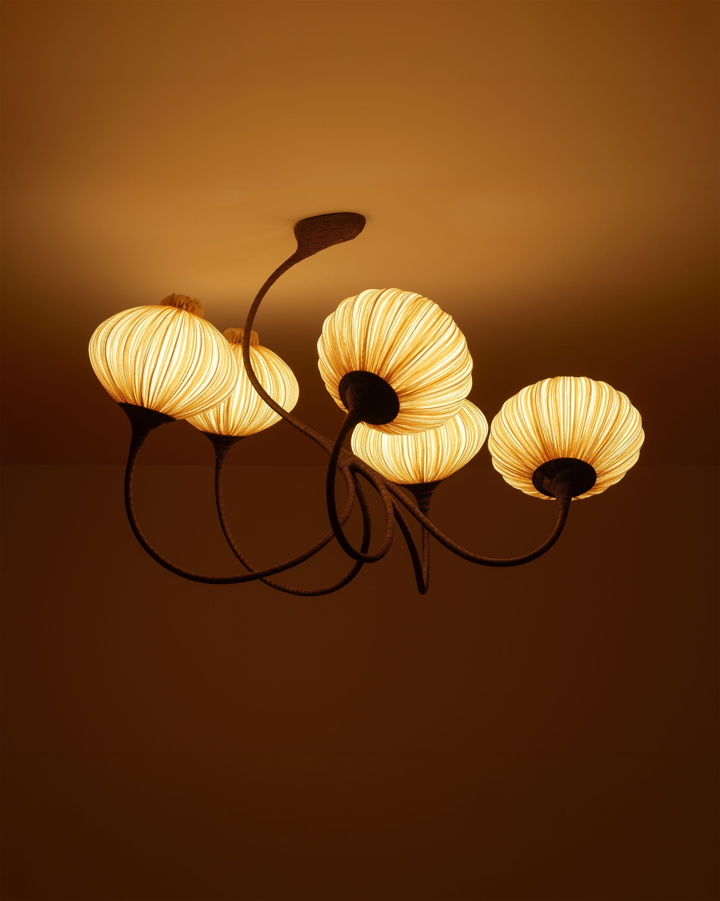 Gold Silk: Natural, Harmonious, Beaming.