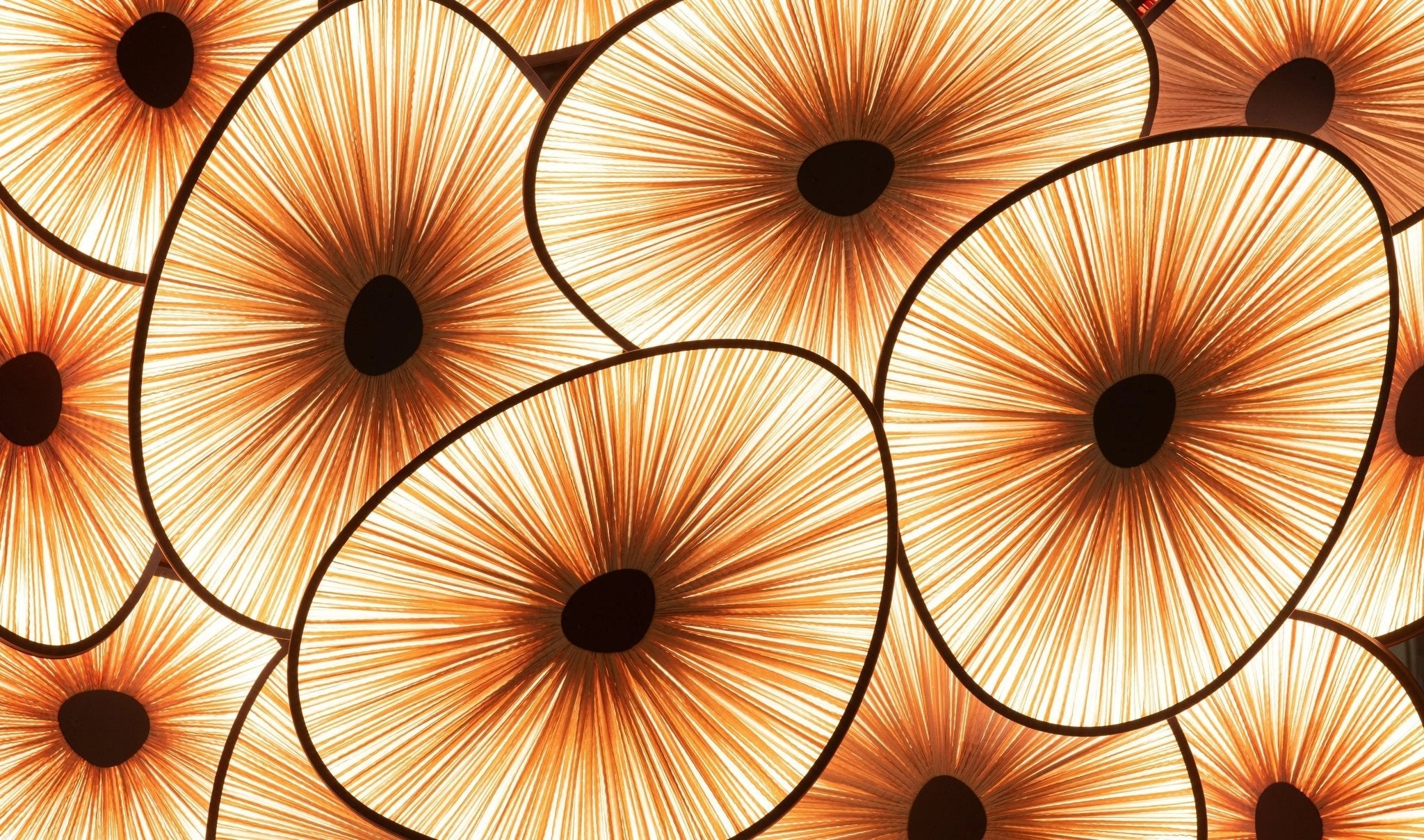 'Light On Water' by Albi Serfaty - Aqua Creations Studio