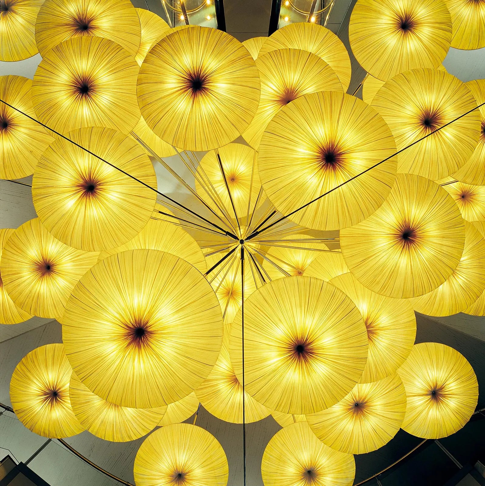 Oceanic Park, Valencia (2000)