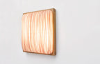 Simon Says Yes Wall & Ceiling Light