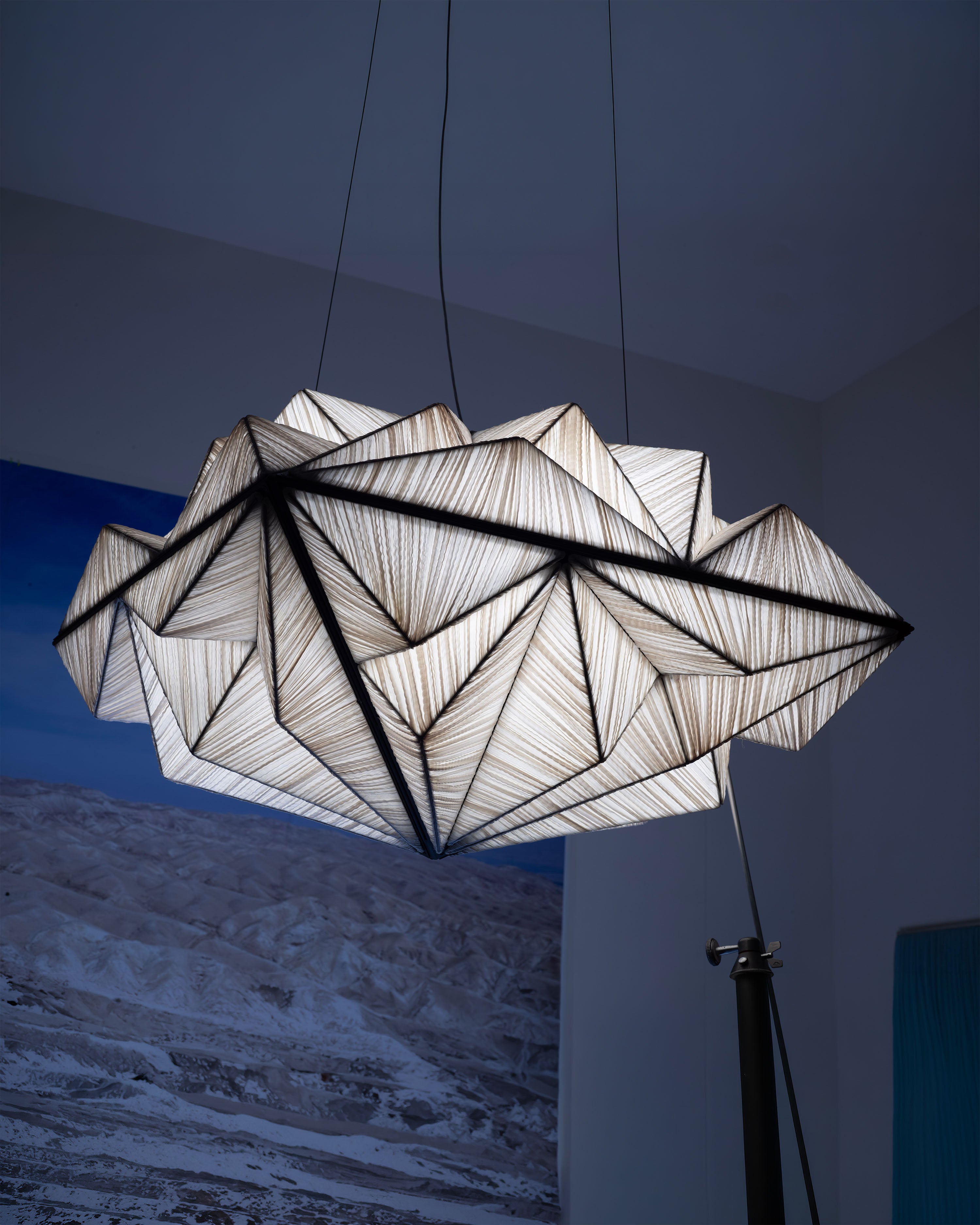 Zooid 1M Pendant Light