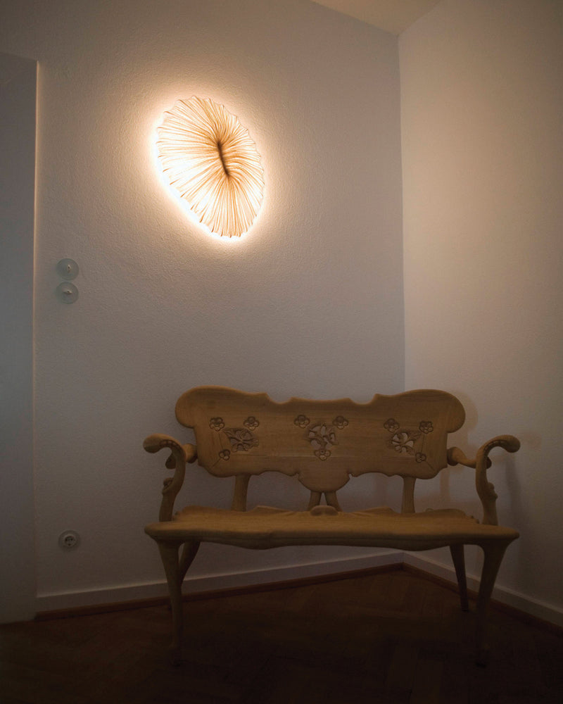 Baby Coral Wall & Ceiling Light