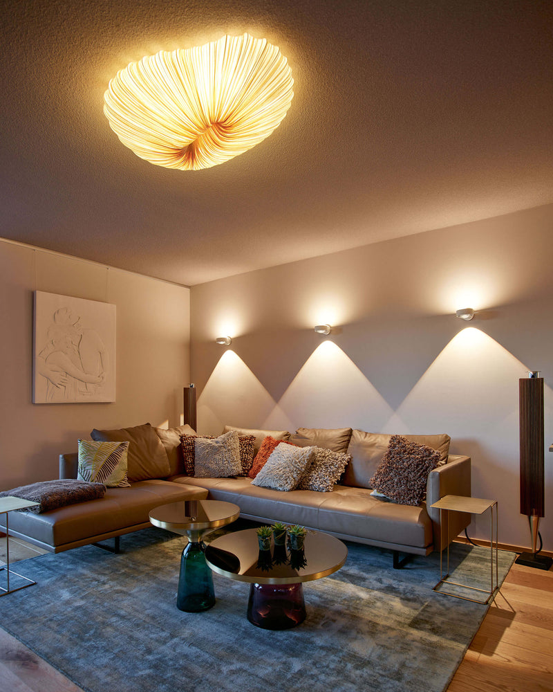 Coral Wall & Ceiling Light
