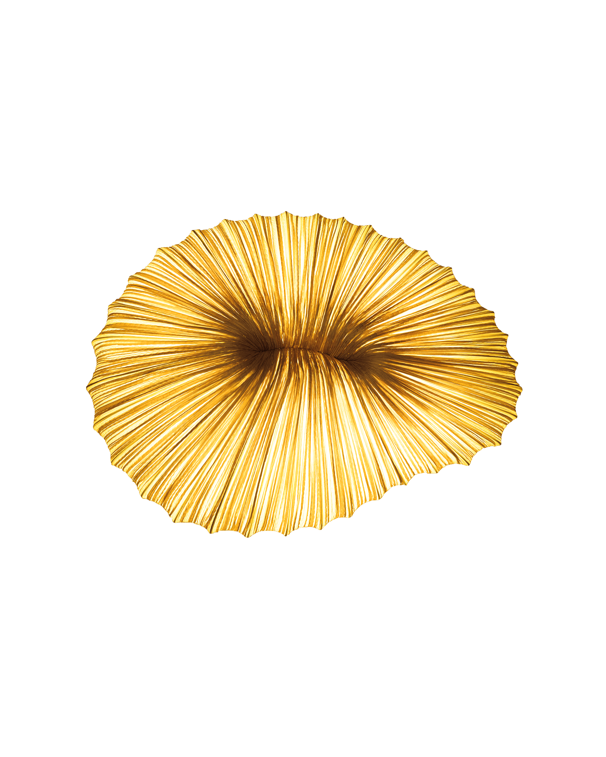 Coral Wall & Ceiling Light