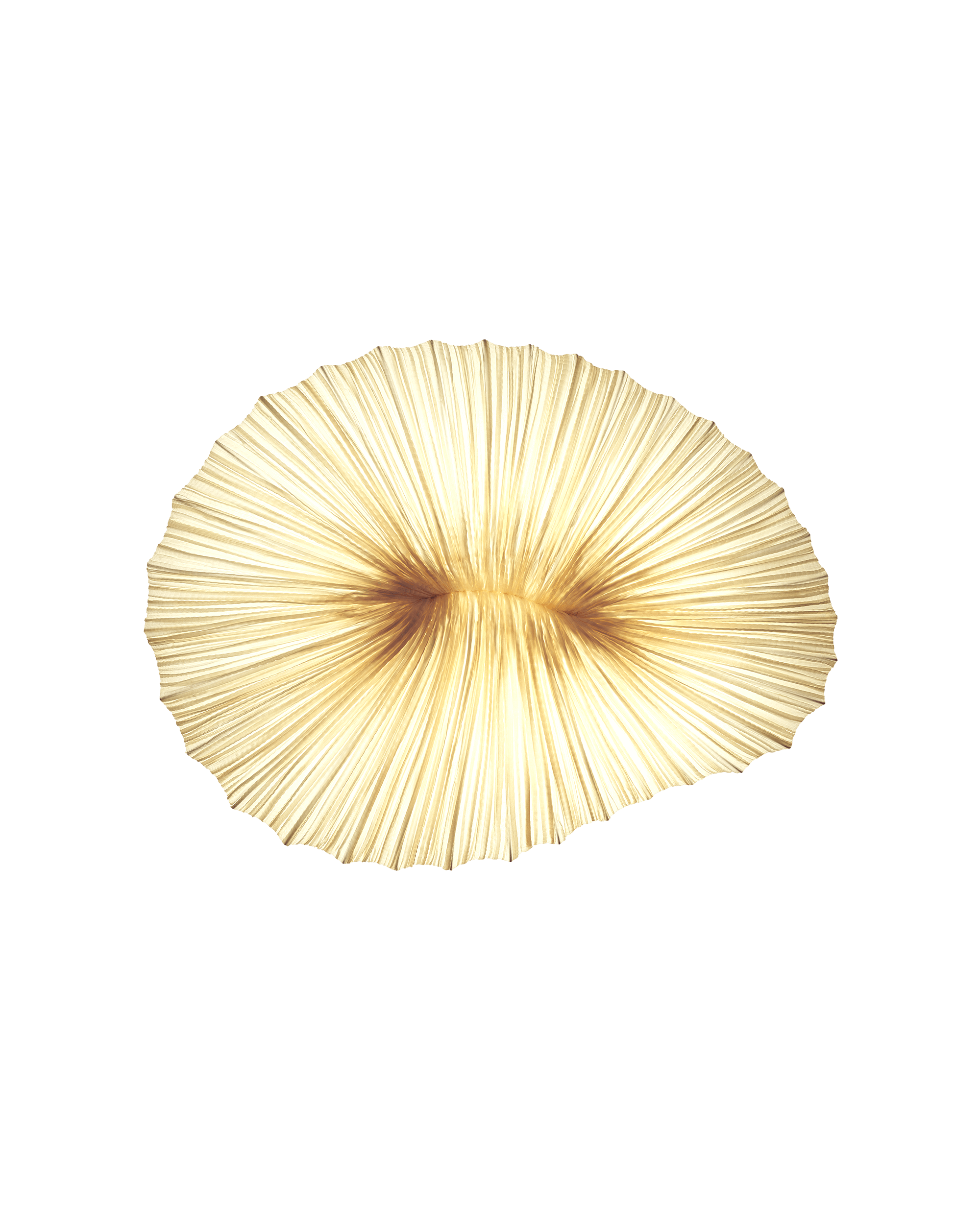 Coral Wall & Ceiling Light
