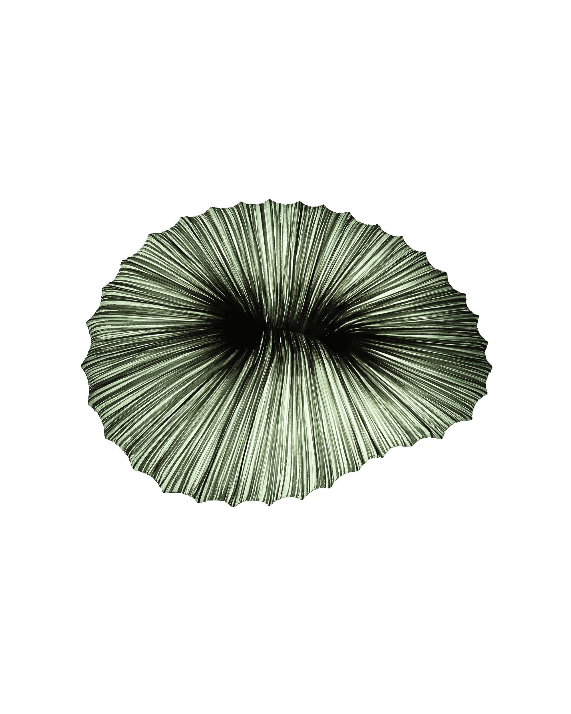 Coral Wall & Ceiling Light