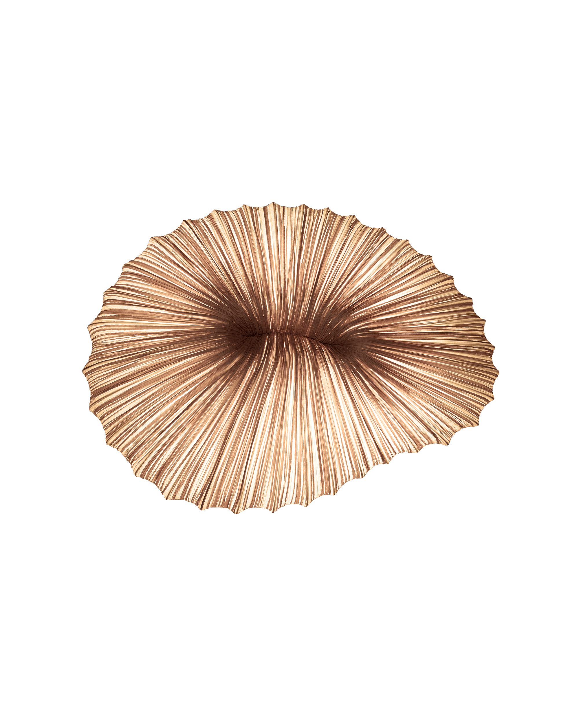 Coral Wall & Ceiling Light