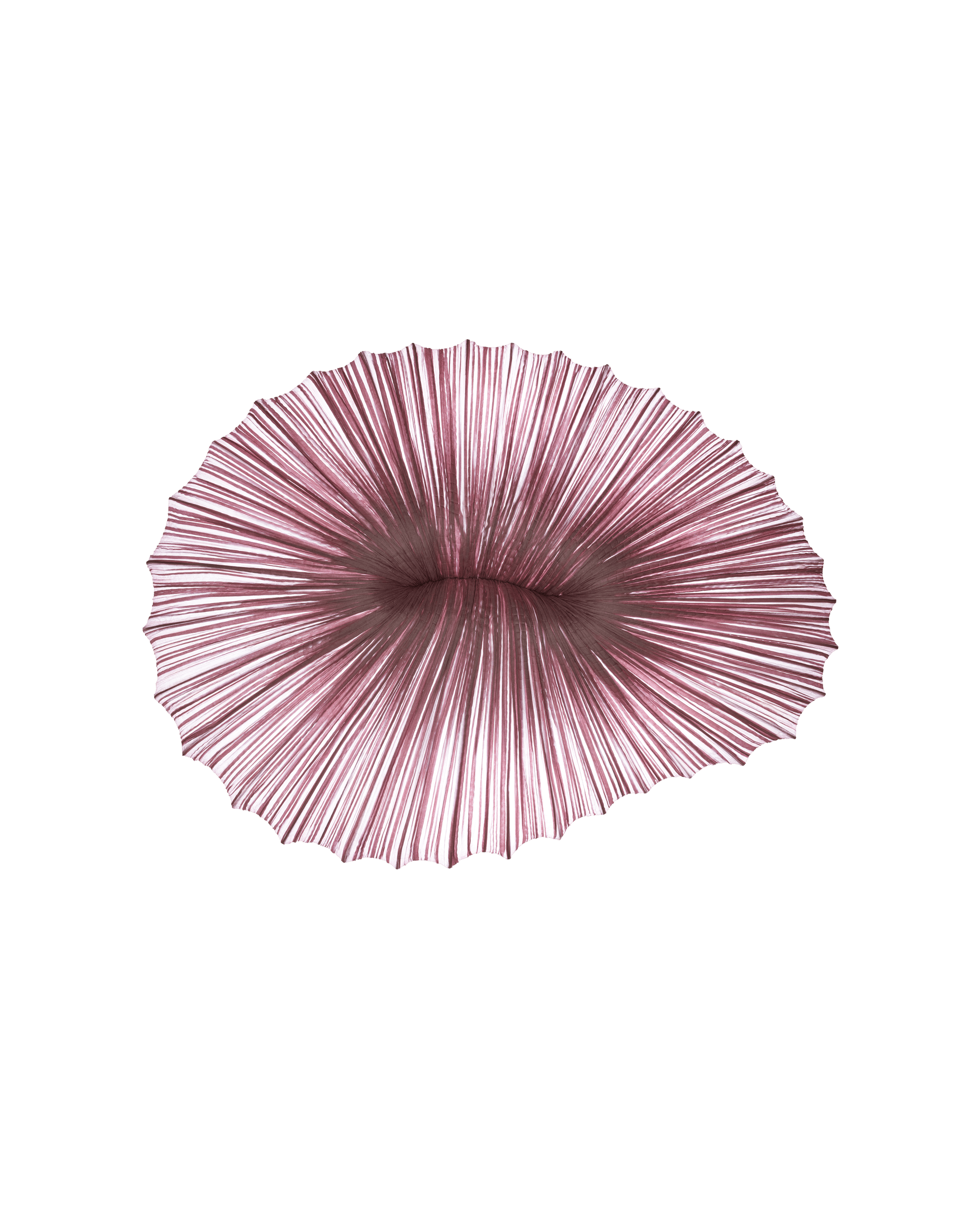 Coral Wall & Ceiling Light