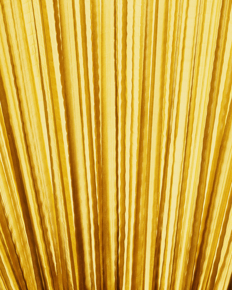 Curry with light switched on