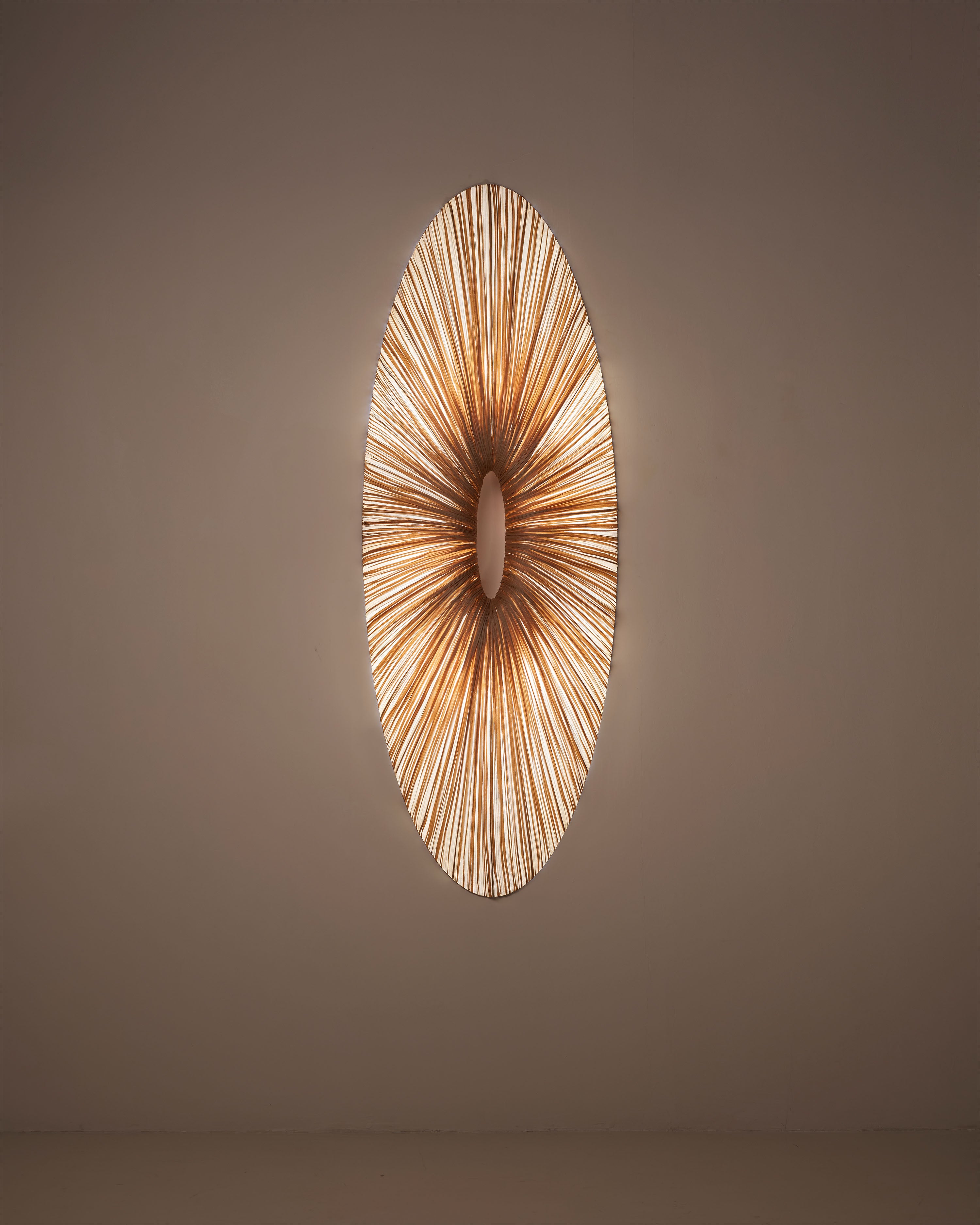 Liana Wall & Ceiling Light