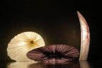 Maestro Floor Lamp