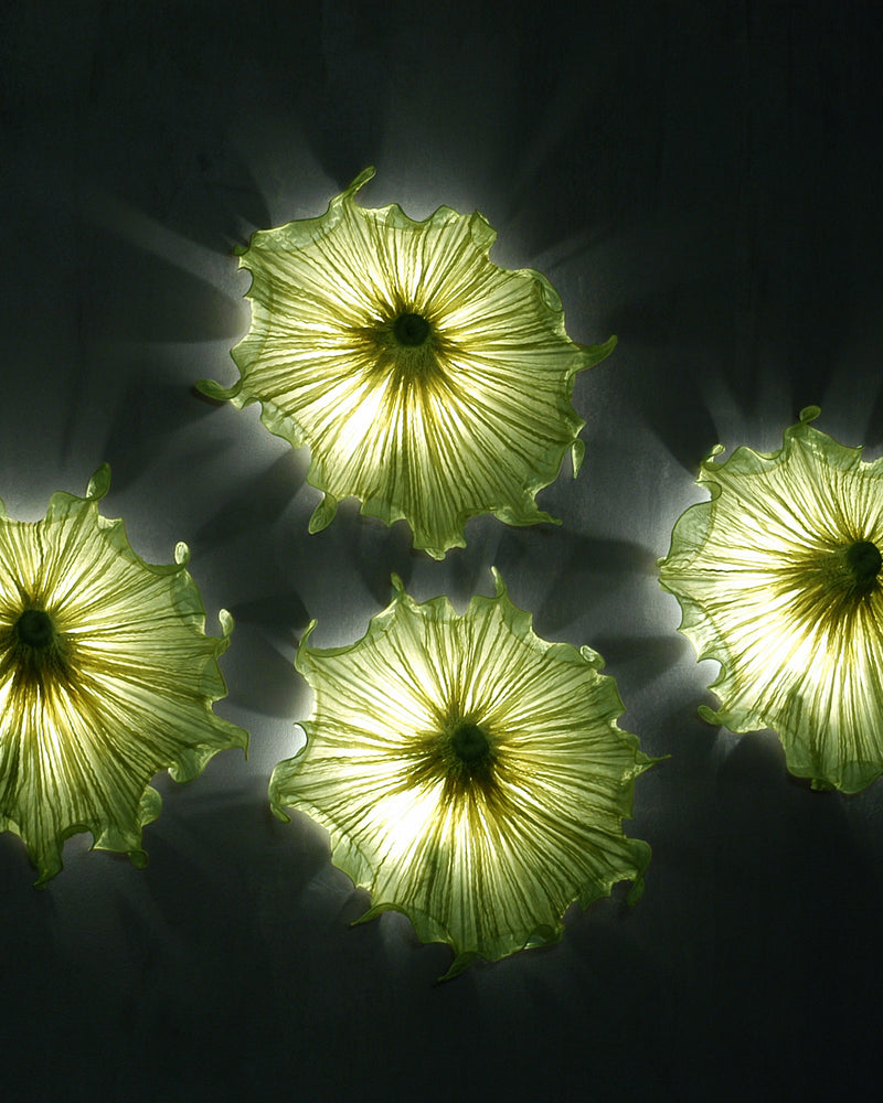 Medusa Wall Light