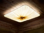 Nara Wall & Ceiling Light