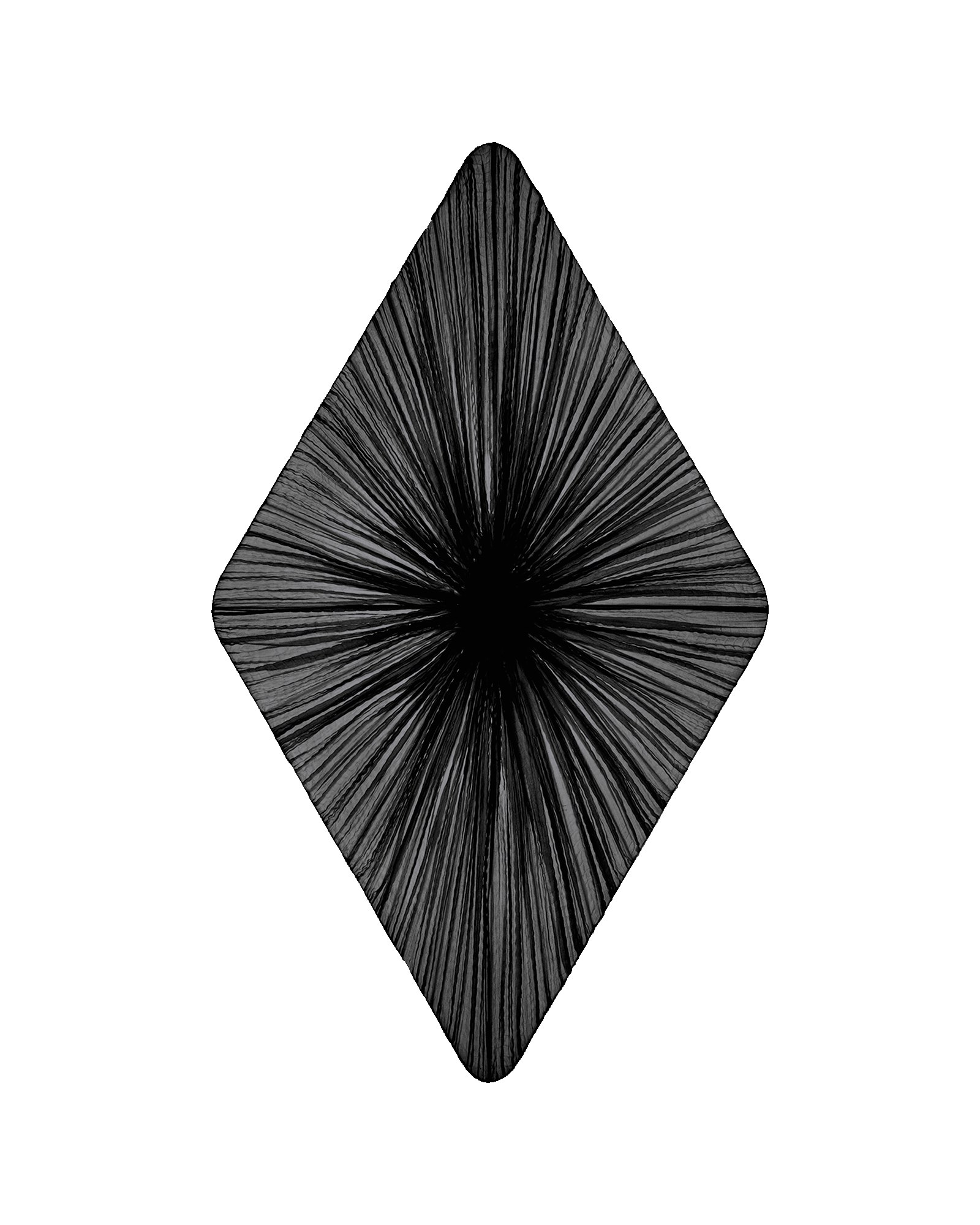 Forever Wall & Ceiling Light