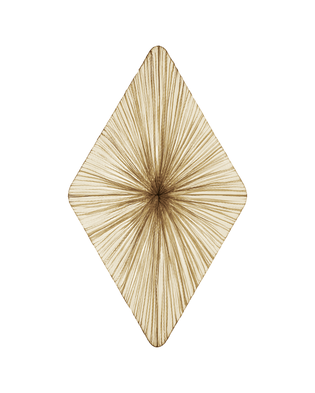 Forever Wall & Ceiling Light