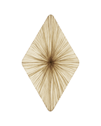 Forever Wall & Ceiling Light