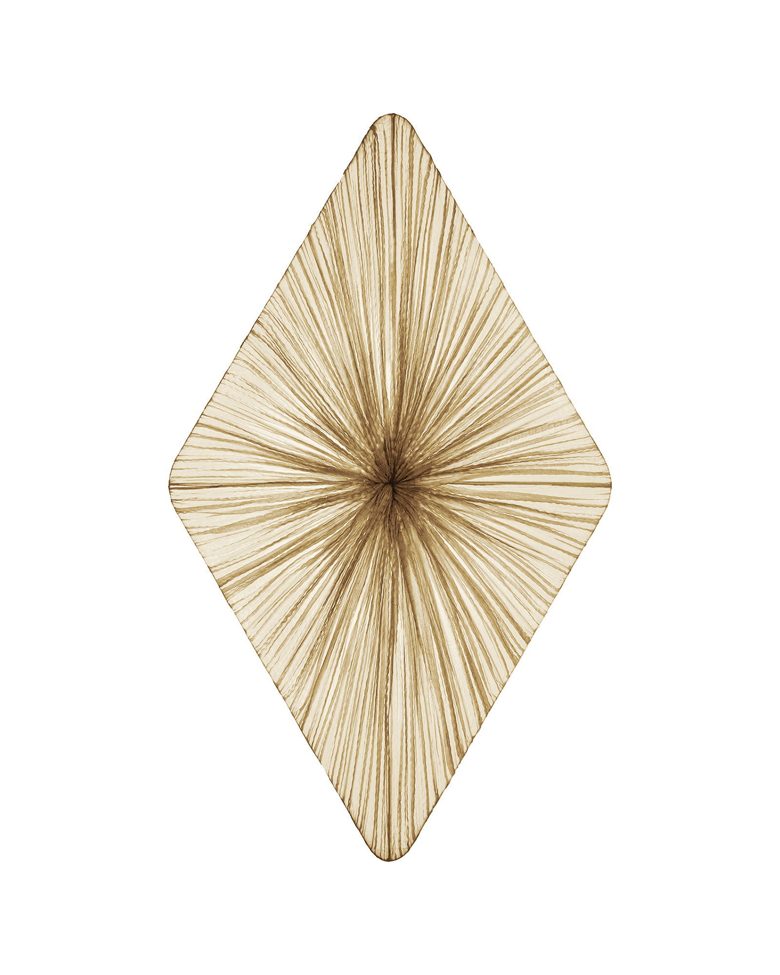 Forever Wall & Ceiling Light