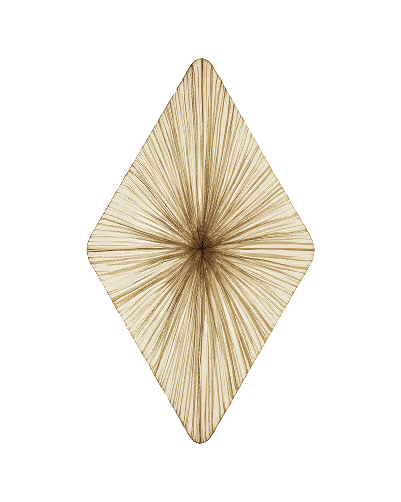 Forever Wall & Ceiling Light