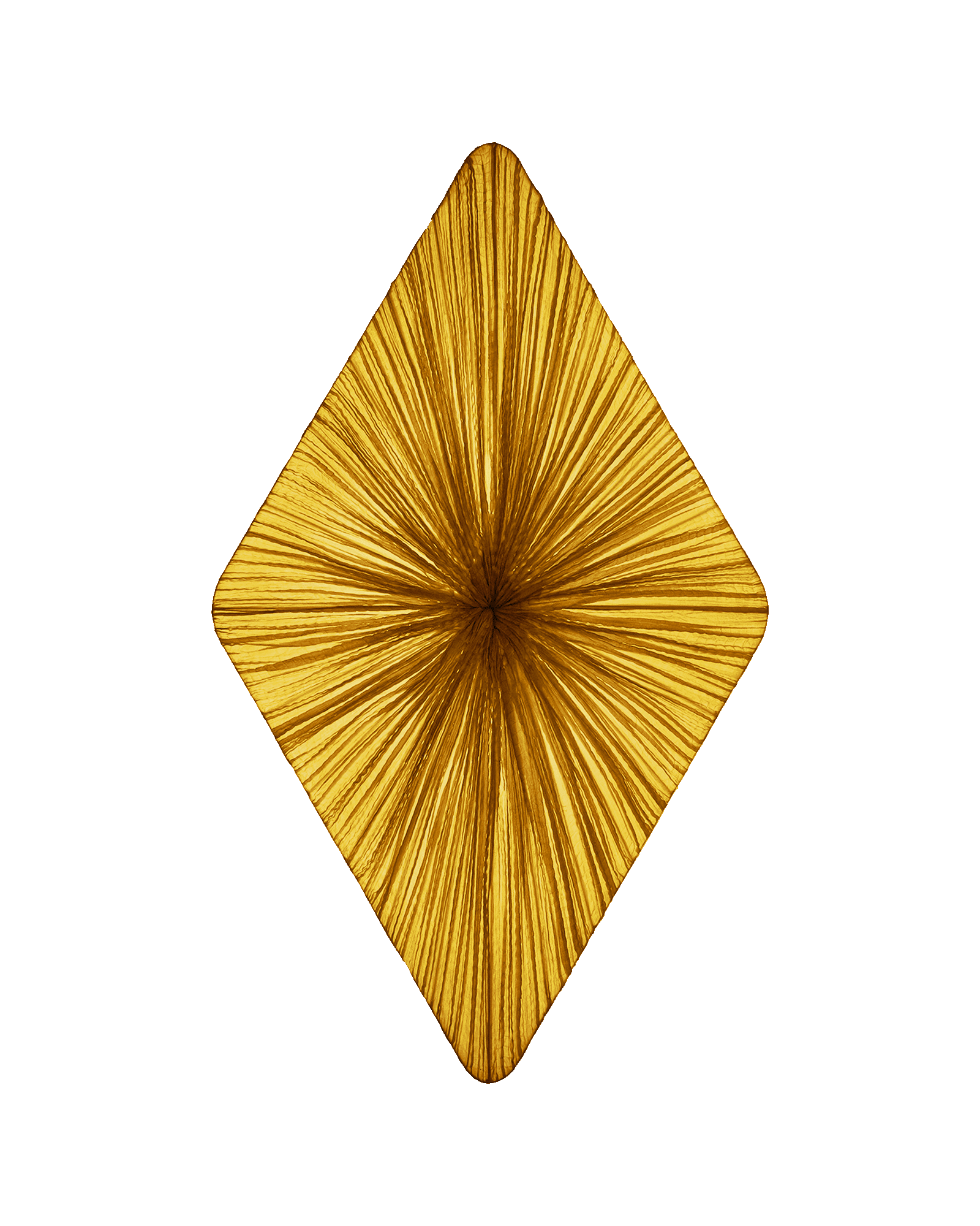 Forever Wall & Ceiling Light