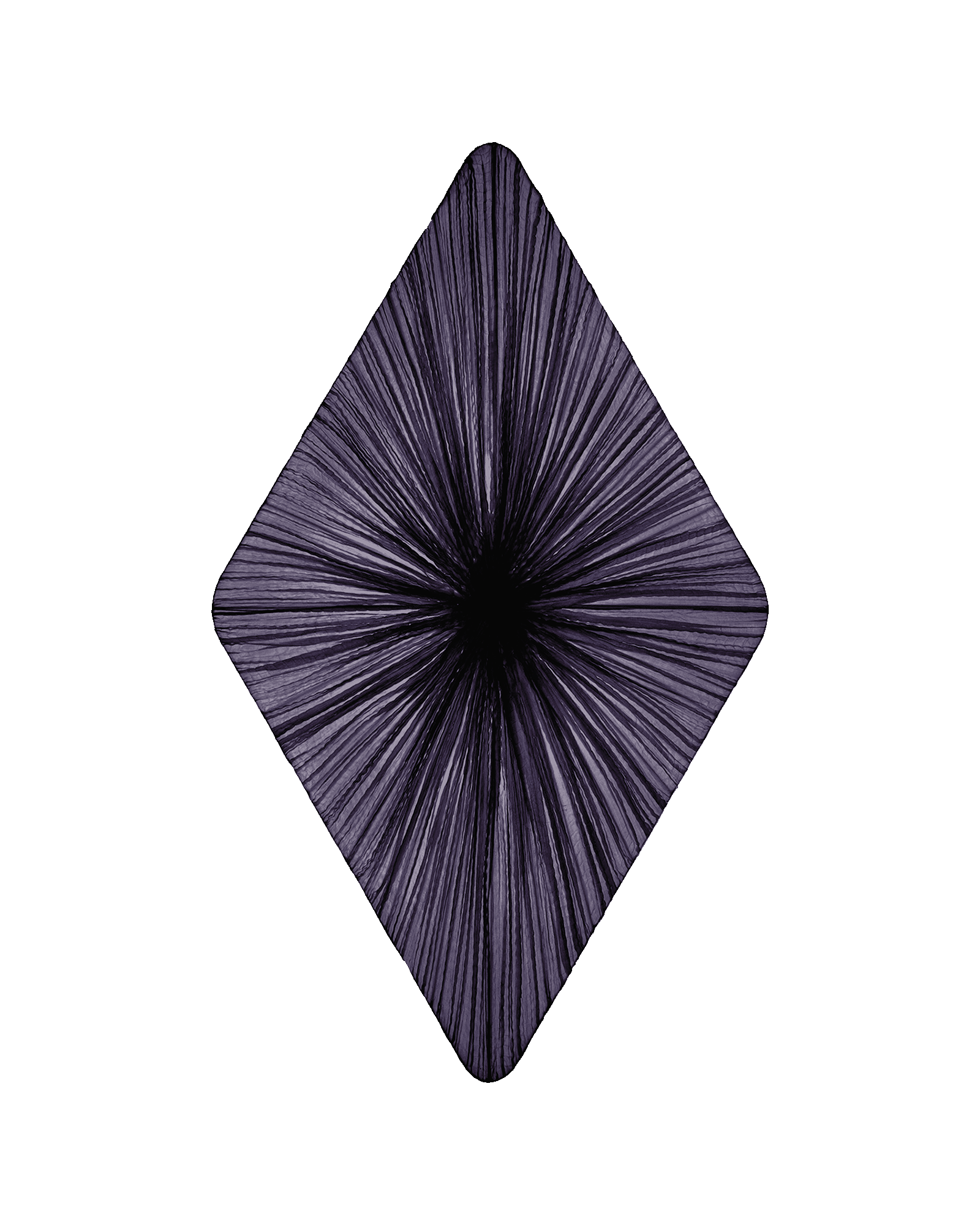 Forever Wall & Ceiling Light