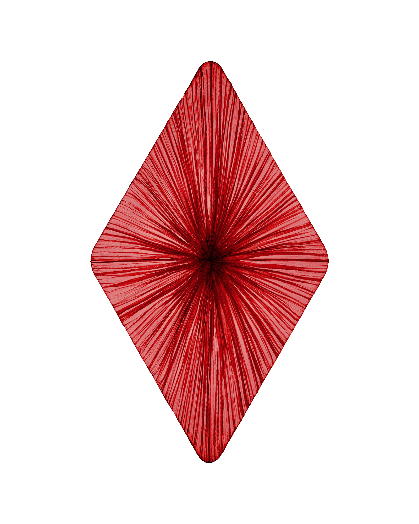 Forever Wall & Ceiling Light