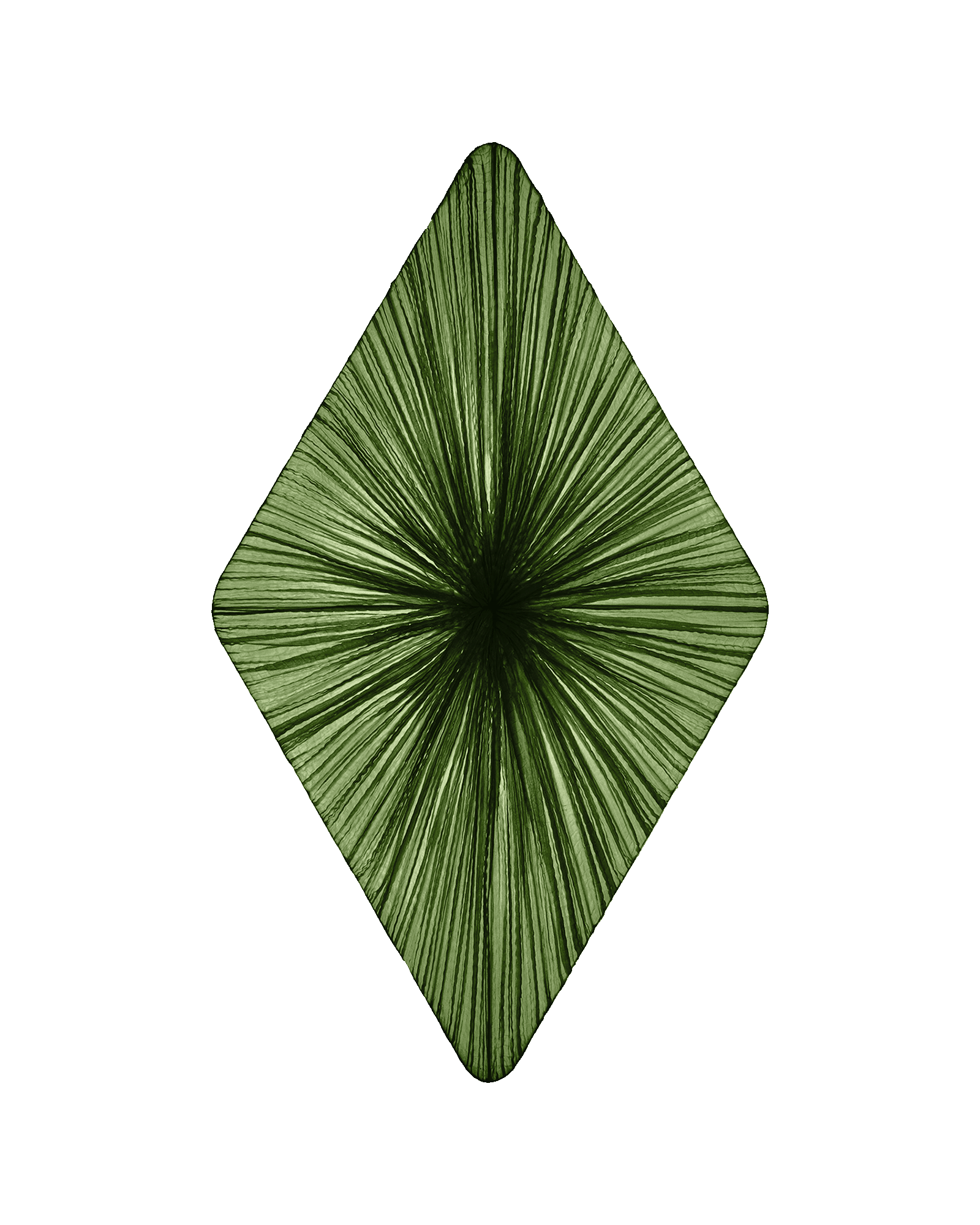 Forever Wall & Ceiling Light