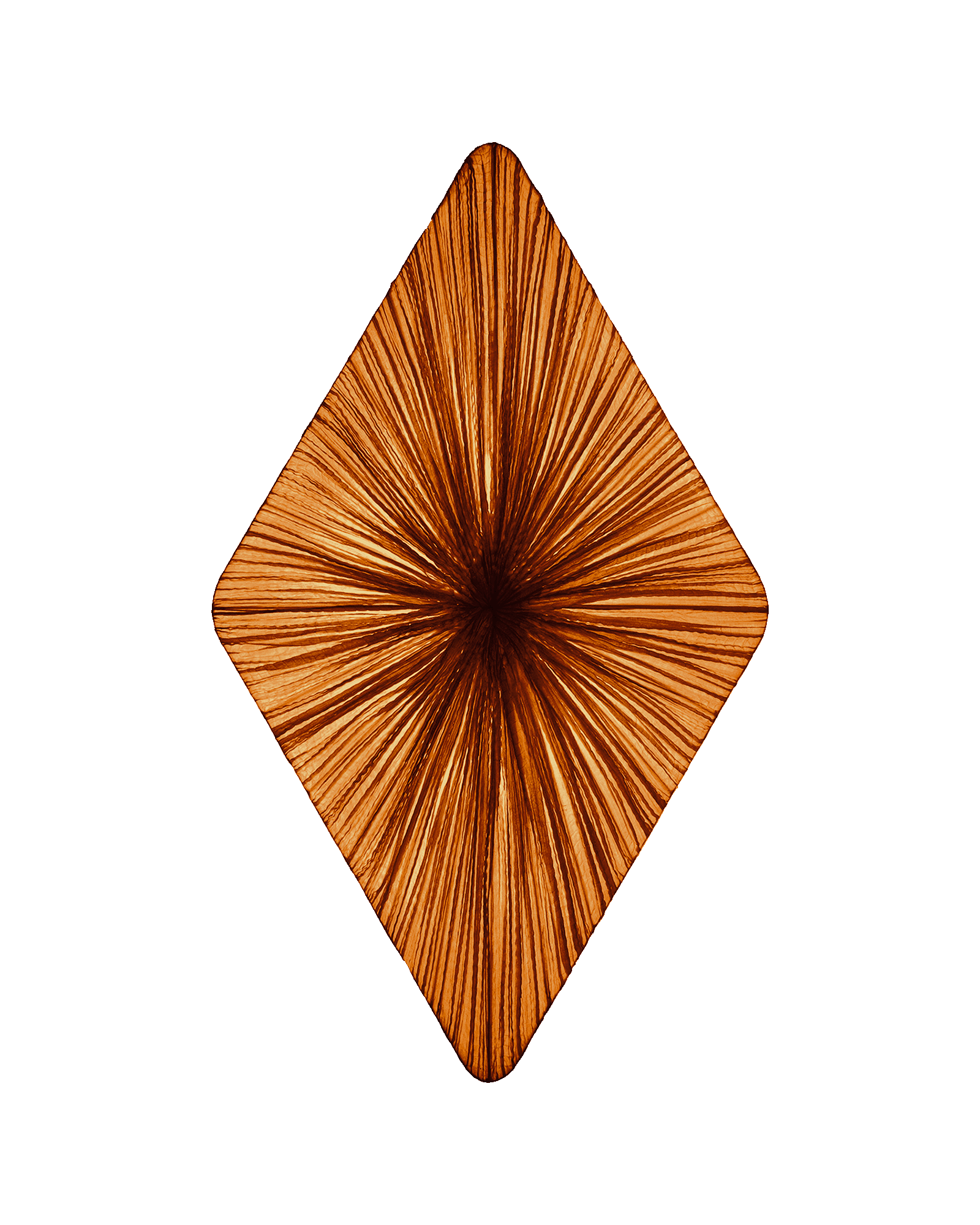 Forever Wall & Ceiling Light