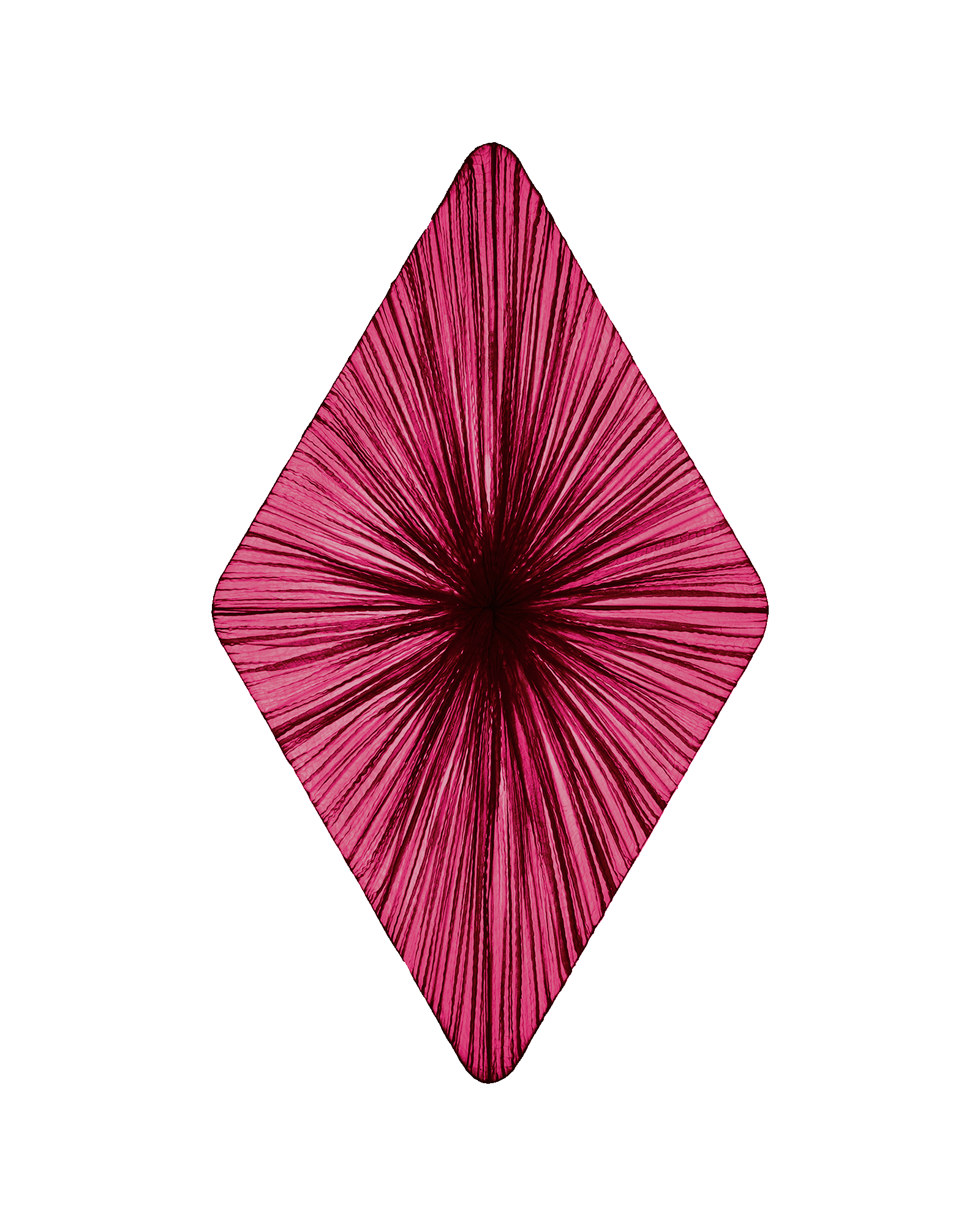 Forever Wall & Ceiling Light