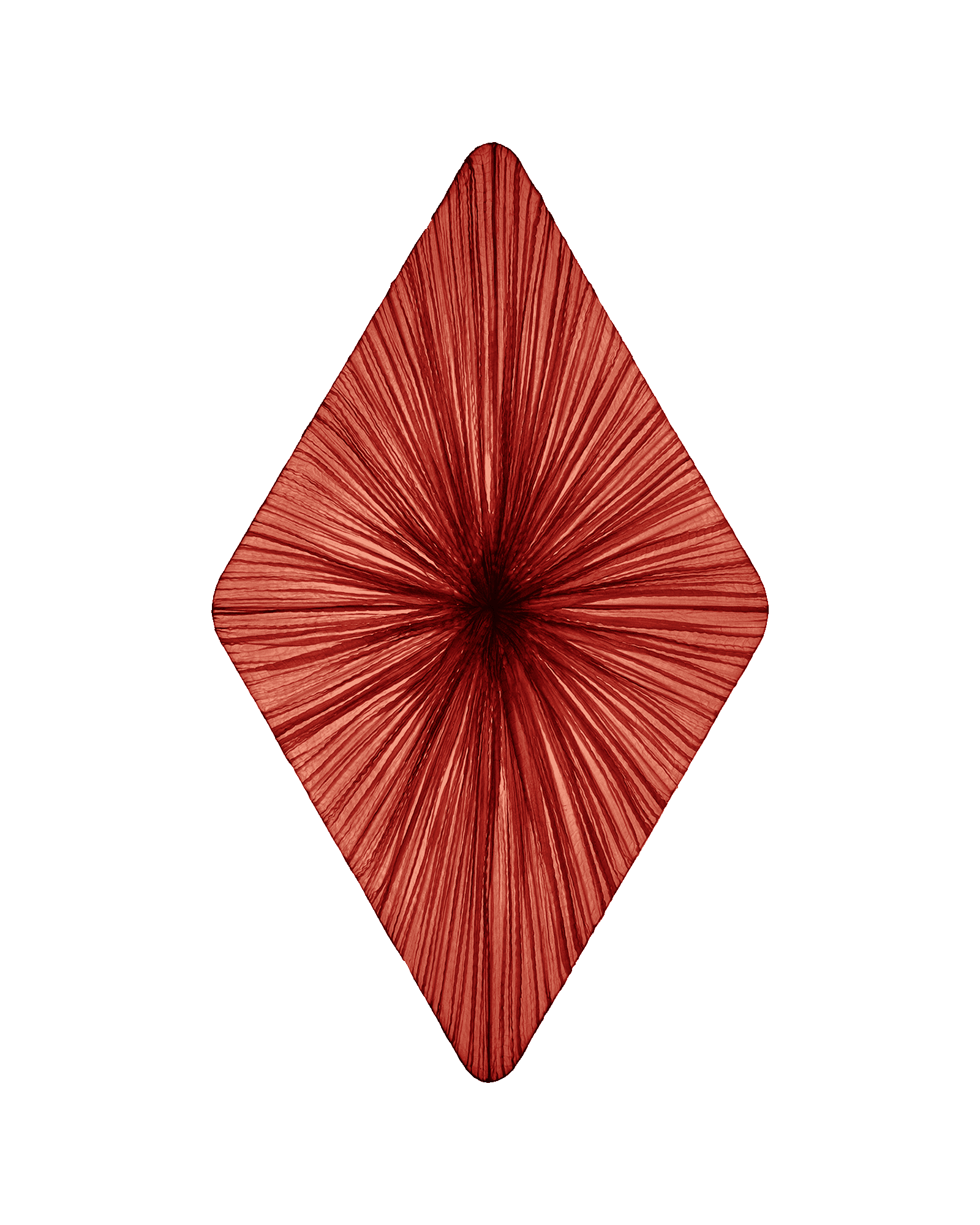 Forever Wall & Ceiling Light