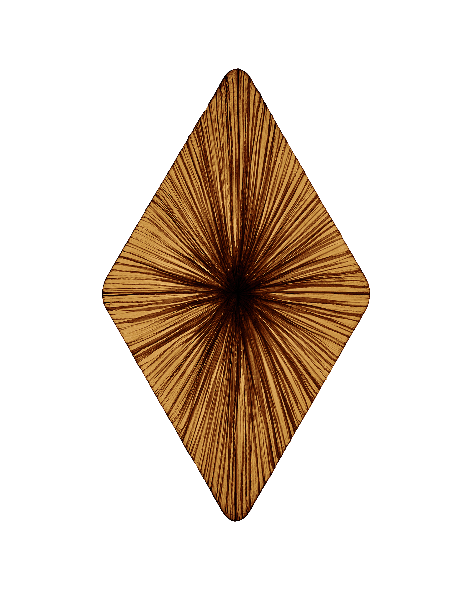 Forever Wall & Ceiling Light