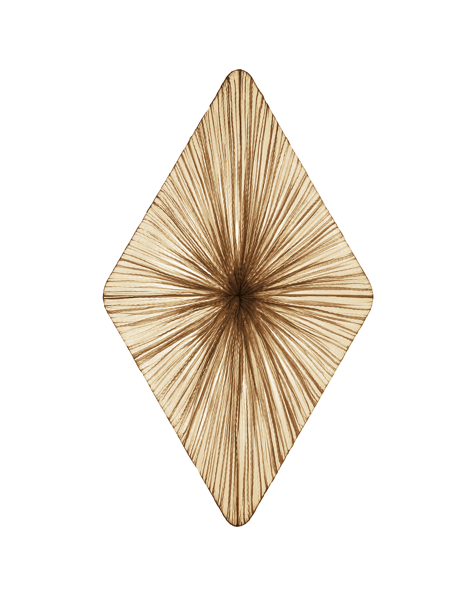 Forever Wall & Ceiling Light