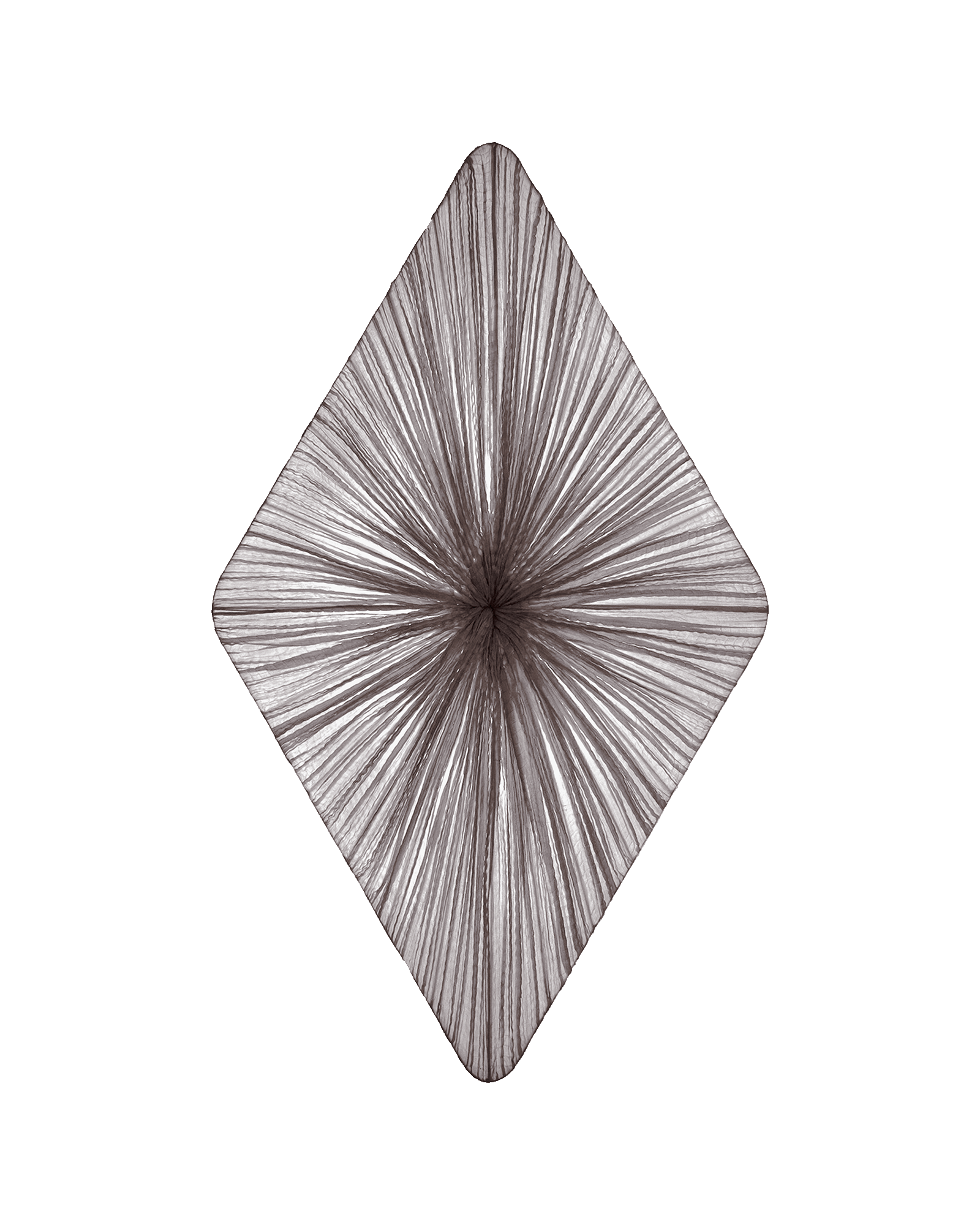 Forever Wall & Ceiling Light