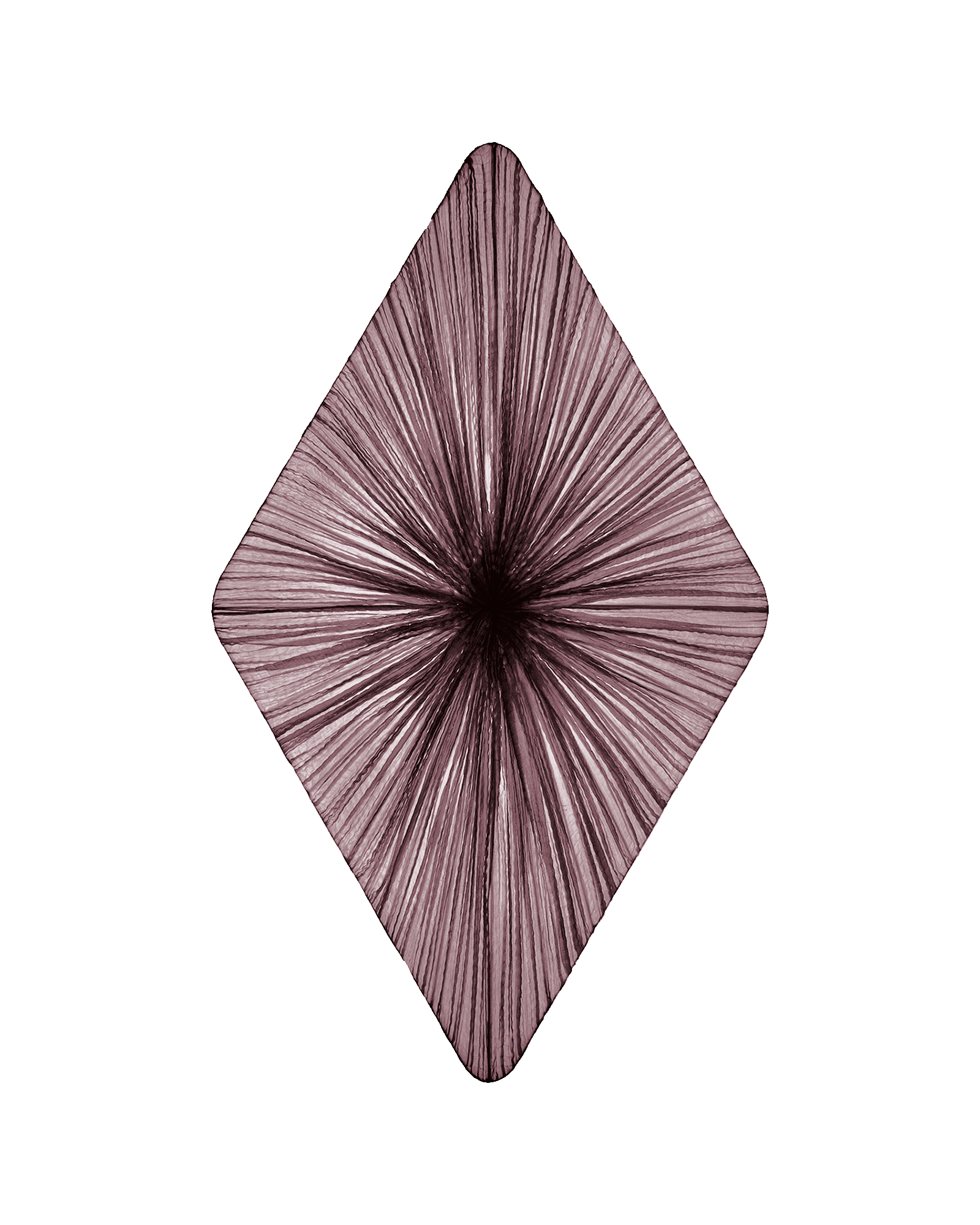 Forever Wall & Ceiling Light