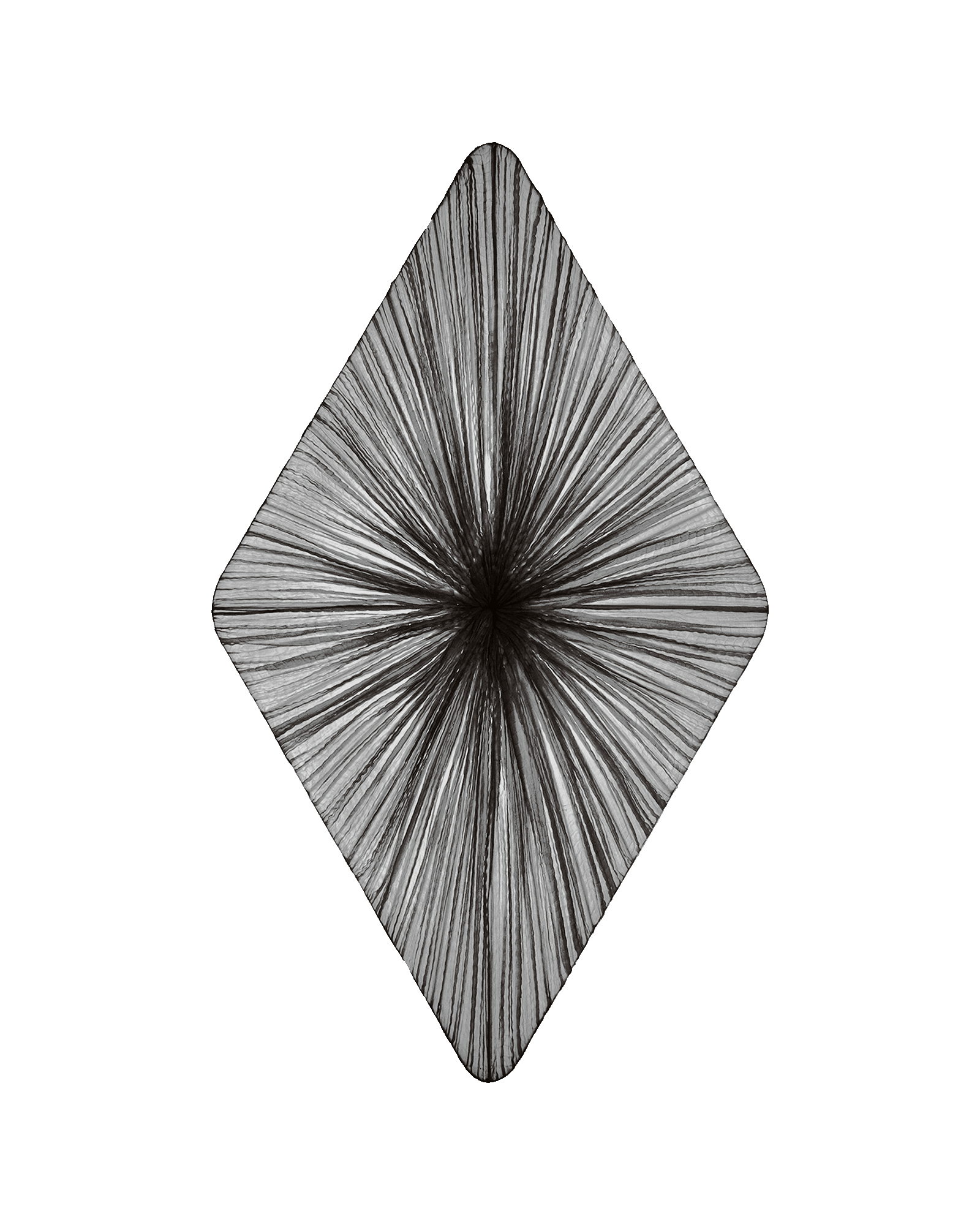 Forever Wall & Ceiling Light