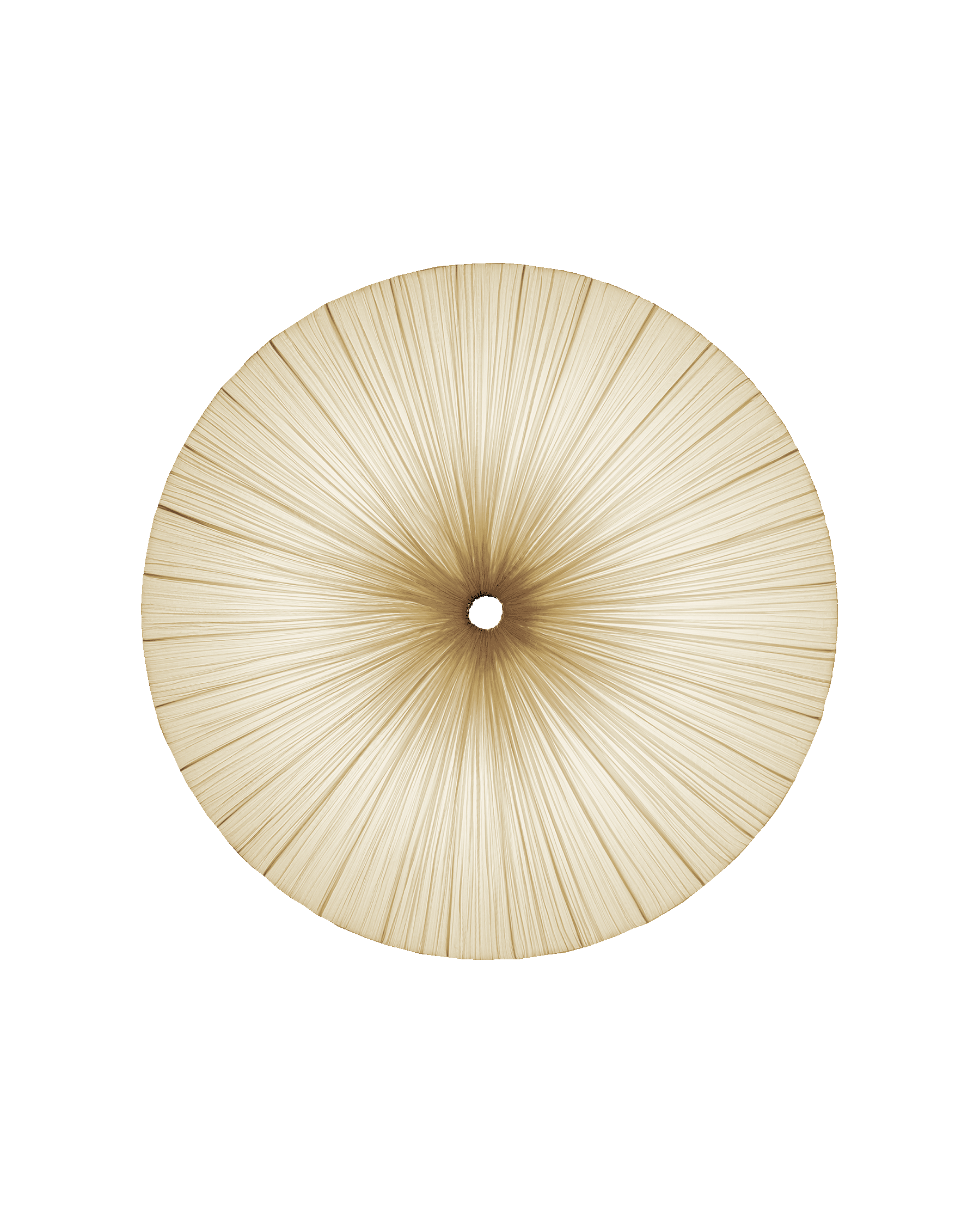 Stand By Wall & Ceiling Light