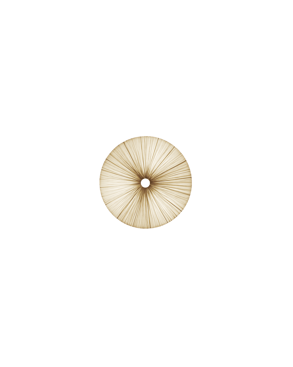 Stand By Wall & Ceiling Light