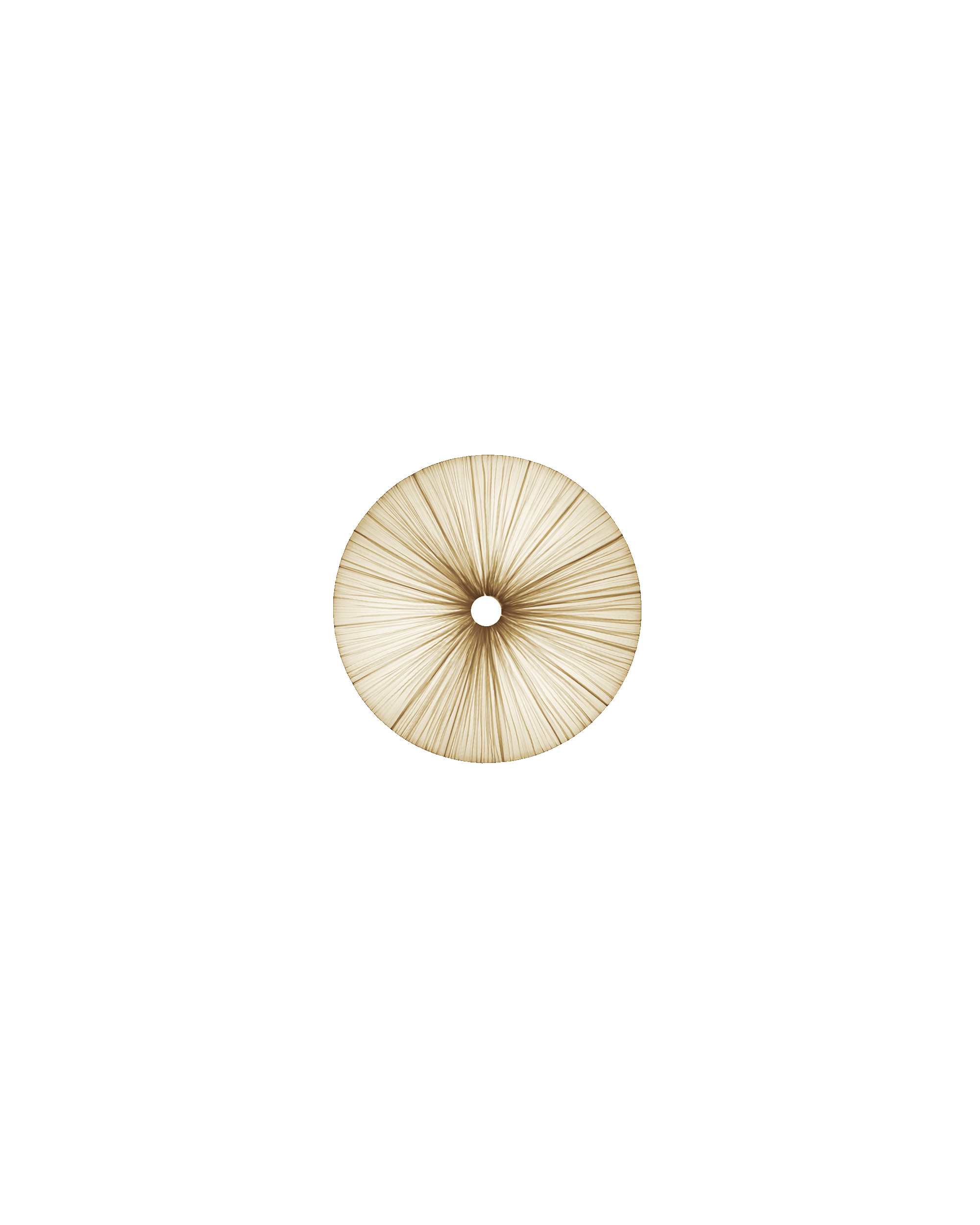Stand By Wall & Ceiling Light