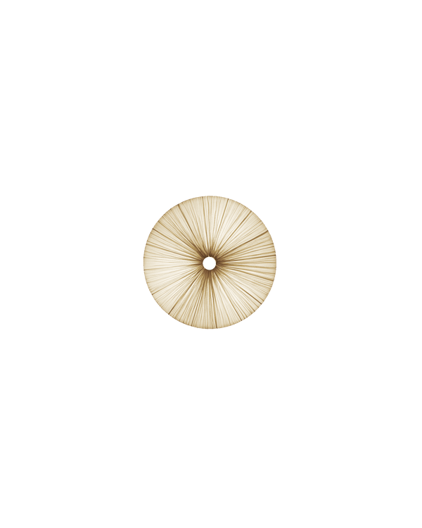 Stand By Wall & Ceiling Light